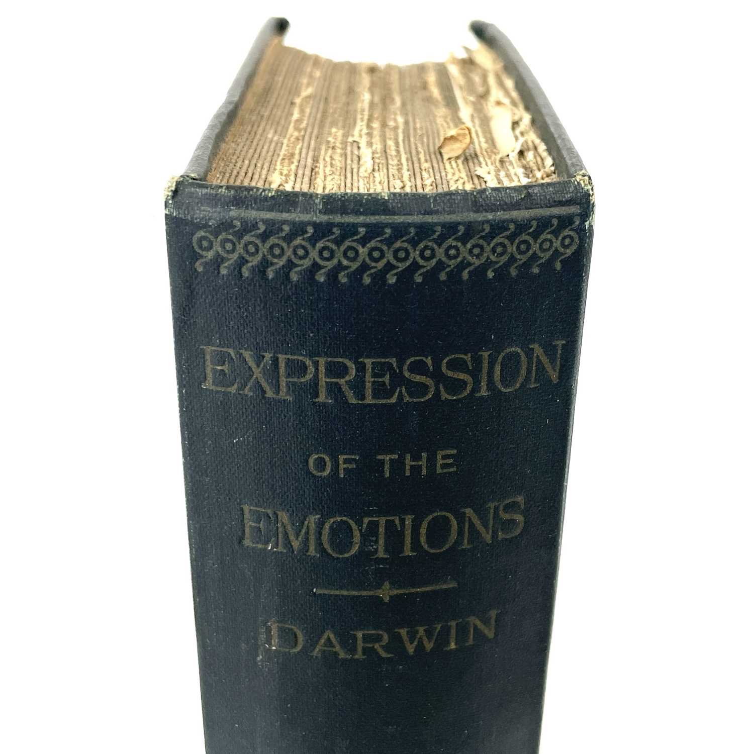 Lot 205 - THE EXPRESSION OF THE EMOTIONS OF MAN AND