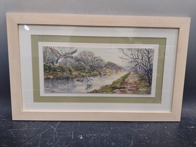 Lot 44 - Lucy P MATTHEWS Ducks on the river Watercolour...