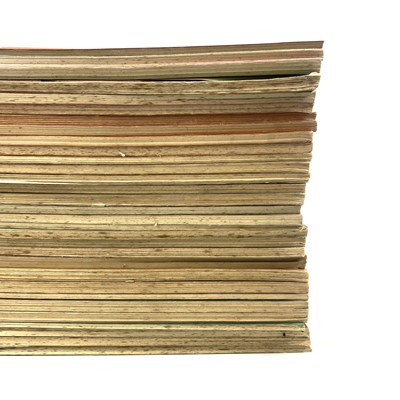 Lot 443 - RUTH MANNING-SANDERS.