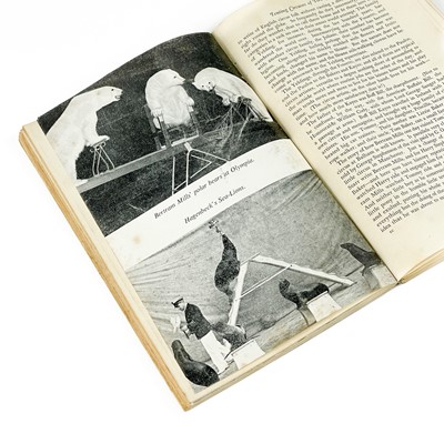 Lot 416 - Ruth MANNING-SANDERS