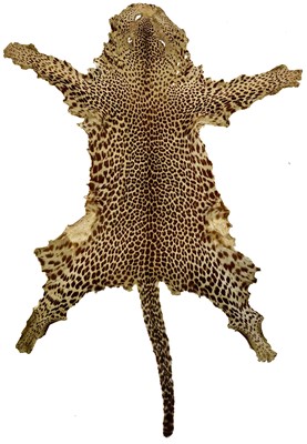 Lot 168 - A taxidermy leopard skin rug.