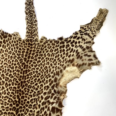 Lot 168 - A taxidermy leopard skin rug.