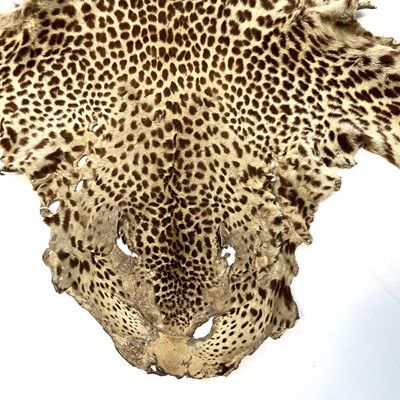 Lot 168 - A taxidermy leopard skin rug.