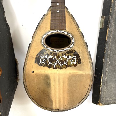 Lot 213 - An early 20th century Neapolitan mandolin