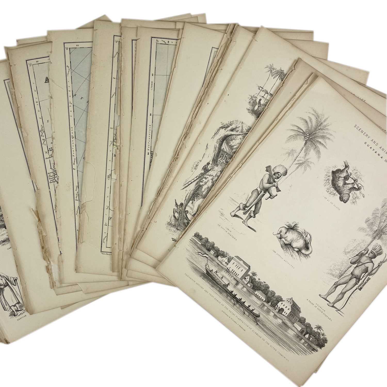 Lot 409 - MAPS and PLATES