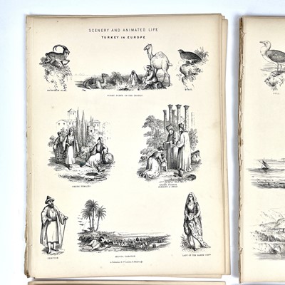 Lot 409 - MAPS and PLATES