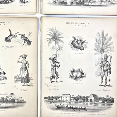 Lot 409 - MAPS and PLATES