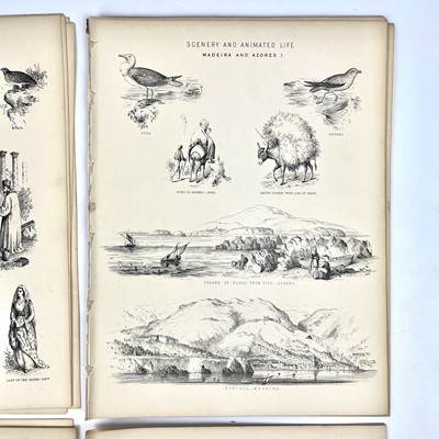 Lot 409 - MAPS and PLATES