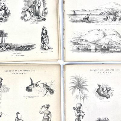 Lot 409 - MAPS and PLATES