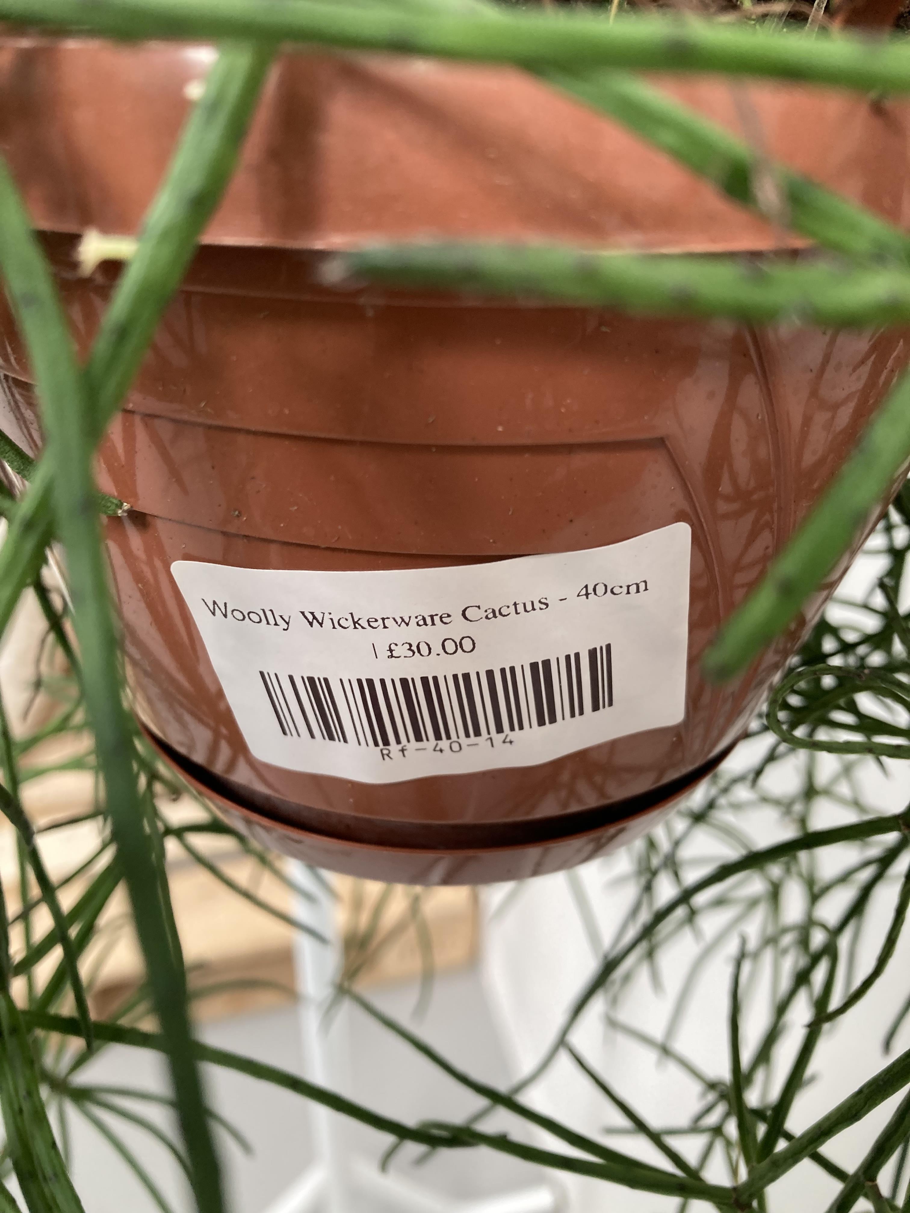 Lot 220 - A hanging Woolley Wickerware Cactus. 40cm in