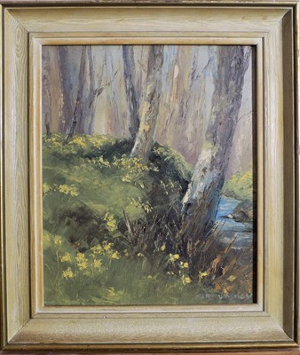 Lot 501 - Mary WASTIE (b.1935) Wooded River Landscape...