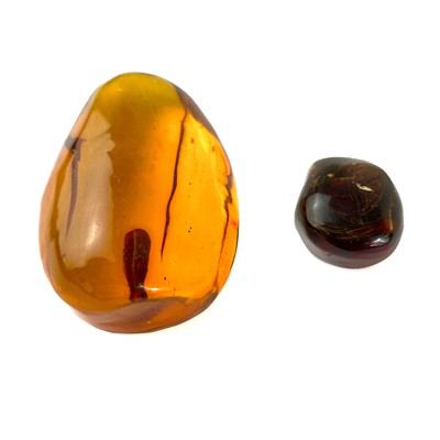 Lot 304 - An amber specimen from Dominican Republic.