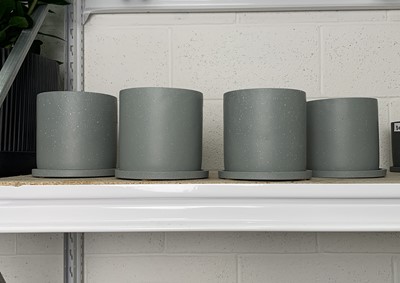 Lot 304 - Four Anther + Moss Big Dalton Ash pots, 15cm,...