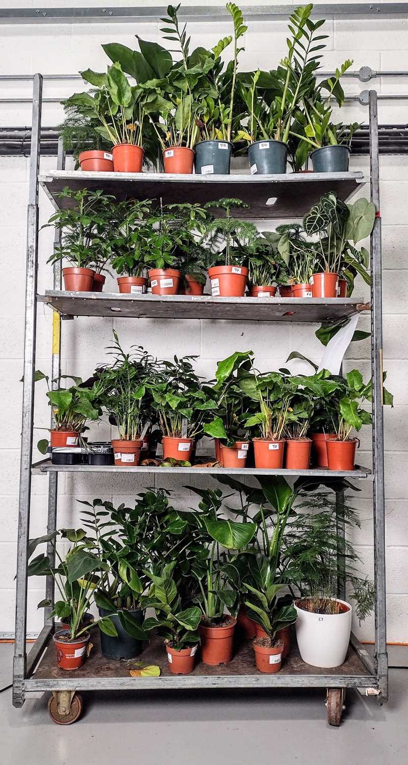 Lot 327 - A Variant System four-tiered mobile rack on