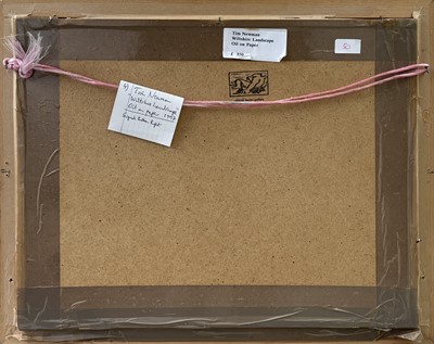 Lot 373 - Tim NEWMAN (1956)