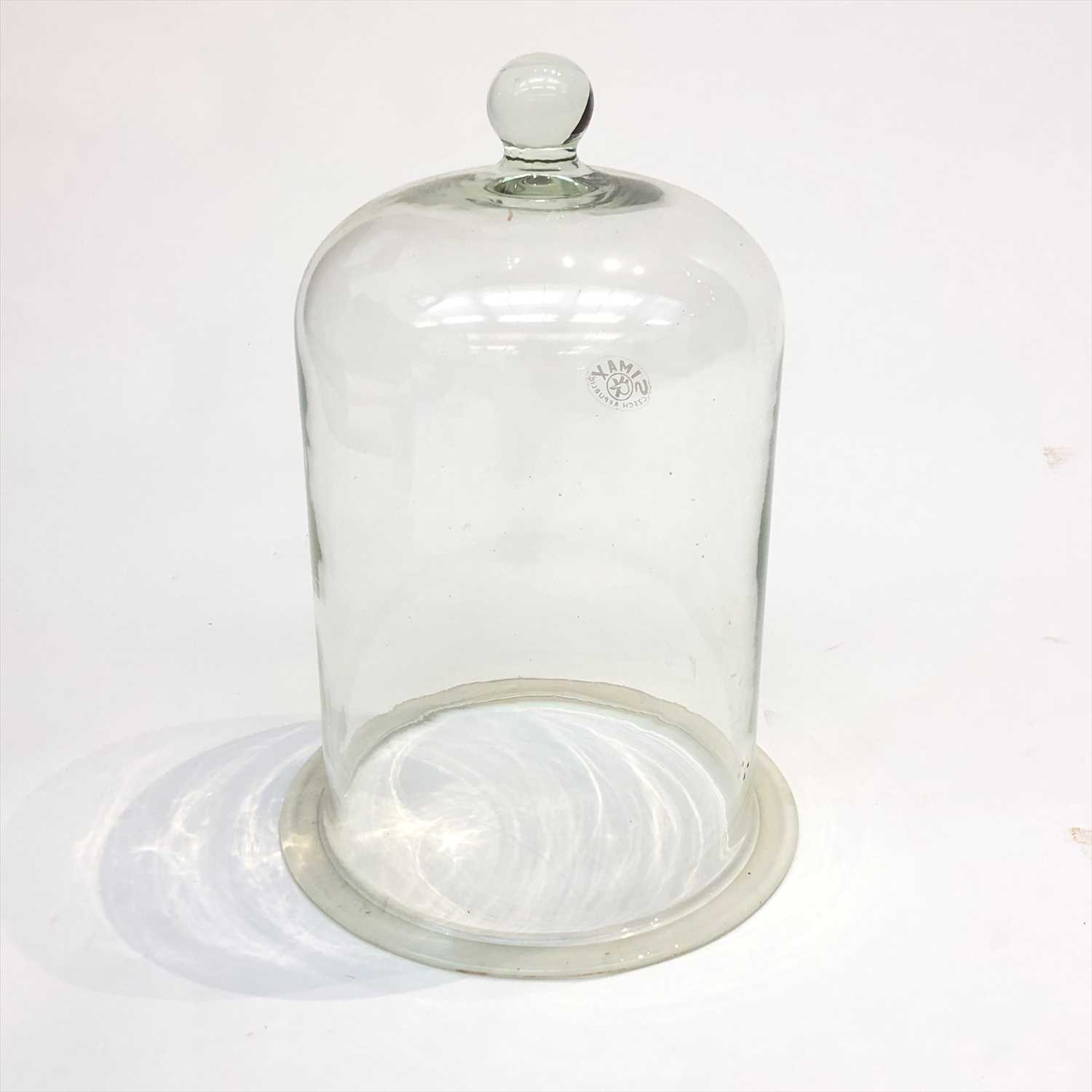 Lot 203 - A glass bell jar.