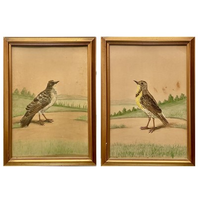Lot 74 - A pair of Victorian feather collage and watercolour bird pictures.
