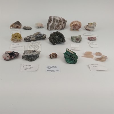 Lot 228 - A collection of identified mineral specimens.