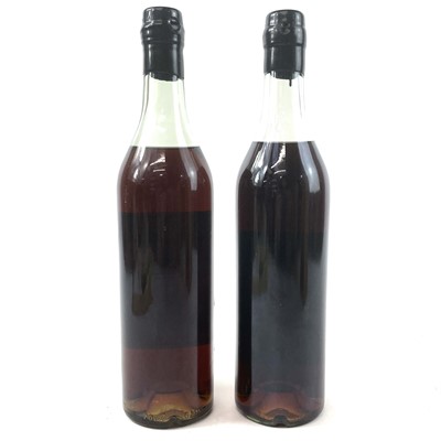 Lot 245 - Two bottles Miguel Clement Vieille Reserve Bas Armagnac.