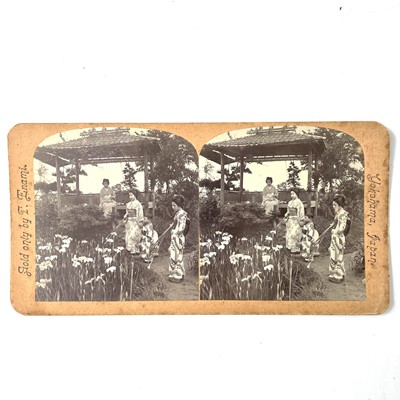 Lot 238 - Keystone View Stereographic Libary cards.