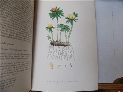 Lot 454 - SYME (J.T.) & LANKESTER (MRS) "English Botany or Coloured Figures of British Plants" (SOWERBY)