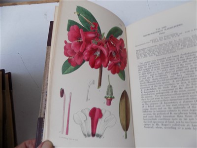 Lot 456 - CURTIS'S BOTANICAL MAGAZINE