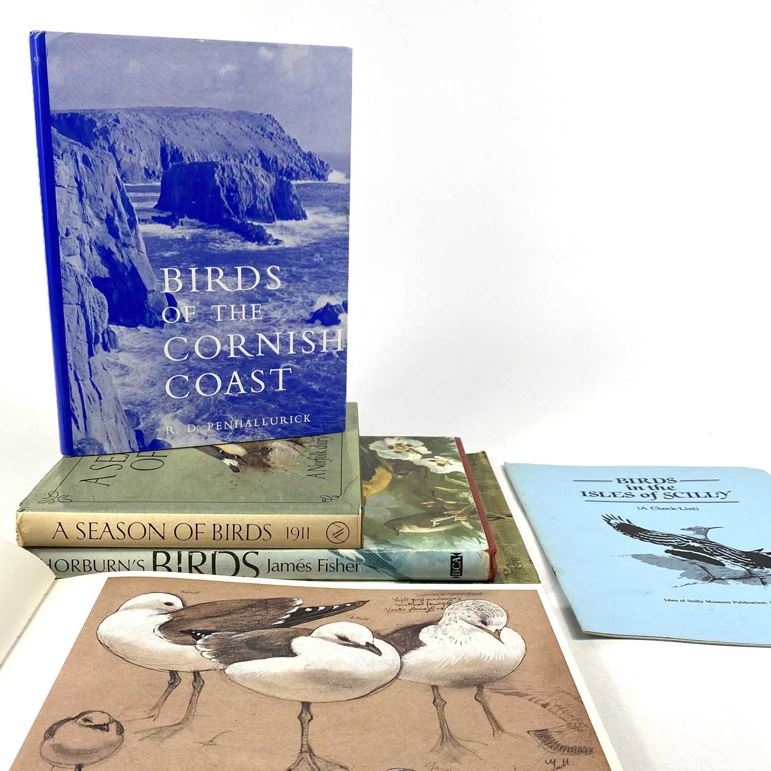 Lot 466 - Six books on Ornithology.