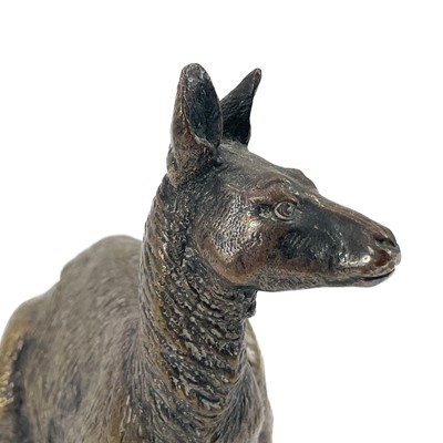 Lot 27 - A Franz Bergman Vienna cold painted bronze kangaroo.