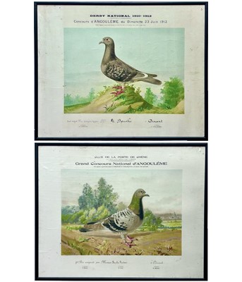 Lot 188 - Two French coloured lithographs of pigeons.