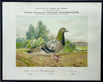 Lot 188 - Two French coloured lithographs of pigeons.