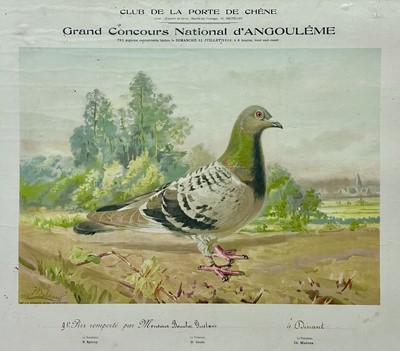 Lot 188 - Two French coloured lithographs of pigeons.