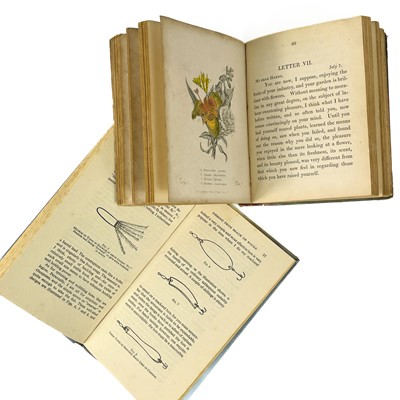 Lot 420 - Ruth MANNING-SANDERS.