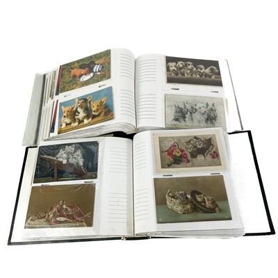 Lot 913 - Cat & Dog Postcards - in 2 modern albums.