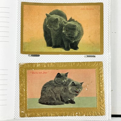 Lot 913 - Cat & Dog Postcards - in 2 modern albums.