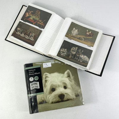 Lot 913 - Cat & Dog Postcards - in 2 modern albums.