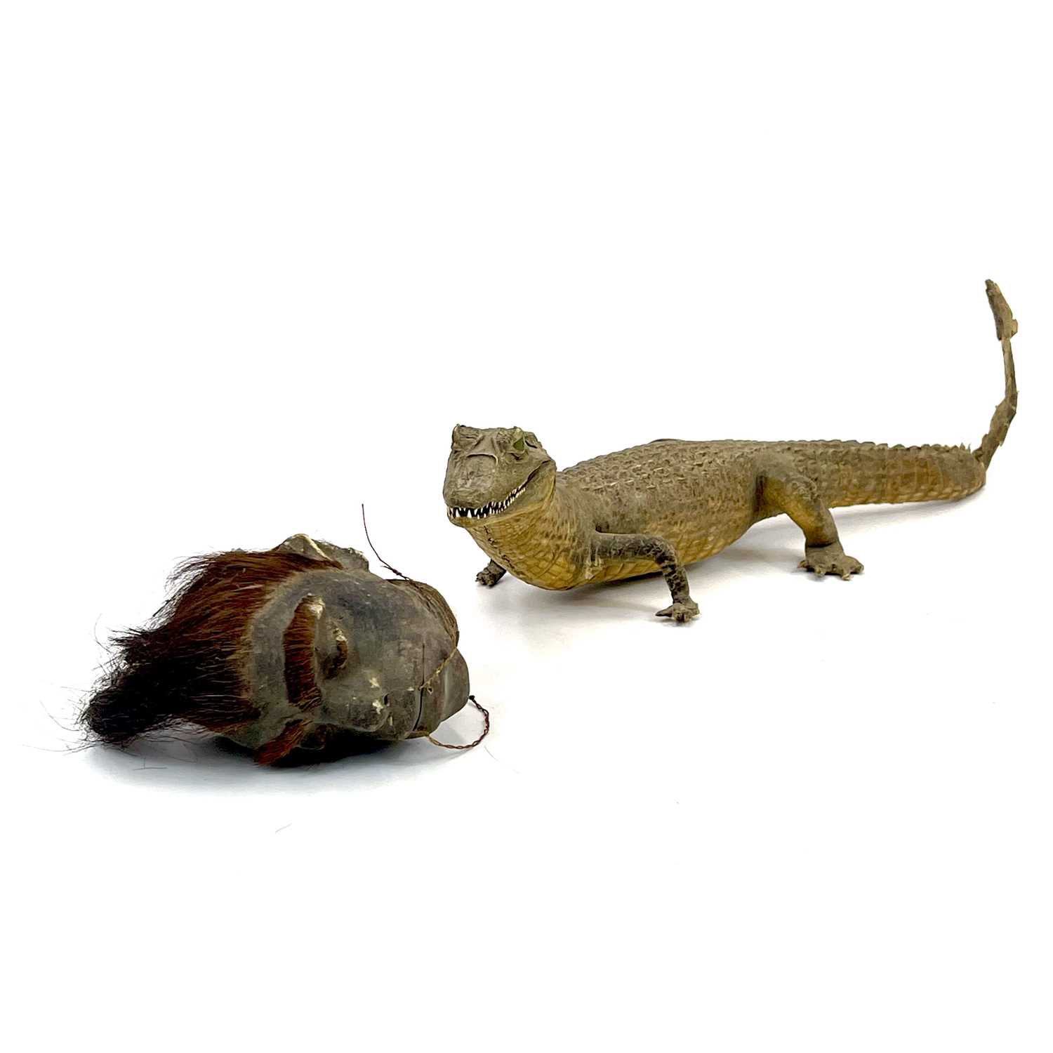 Lot 199 - A 20th century taxidermy caiman or alligator.