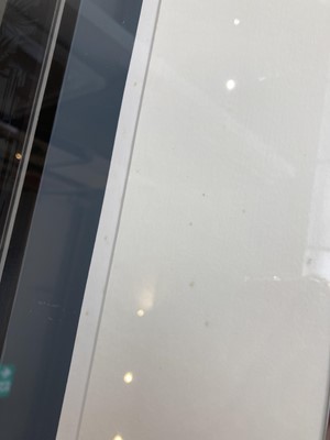 Lot 569 - Richard ESTES (1932)