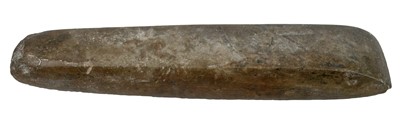 Lot 109 - A stone axe head