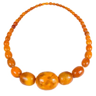 Lot 474 - A butterscotch amber graduated bead necklace.