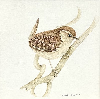 Lot 1449 - Collin CHALLIS