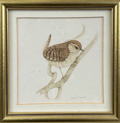 Lot 1449 - Collin CHALLIS
