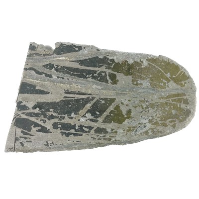 Lot 102 - A Propeller tip from a Spitfire aircraft.