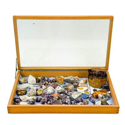 Lot 142 - A collection of minerals and shells.