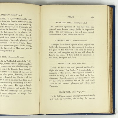 Lot 690 - Edward Hearle Rodd. 'The Birds of Cornwall and the Scilly Isles'.