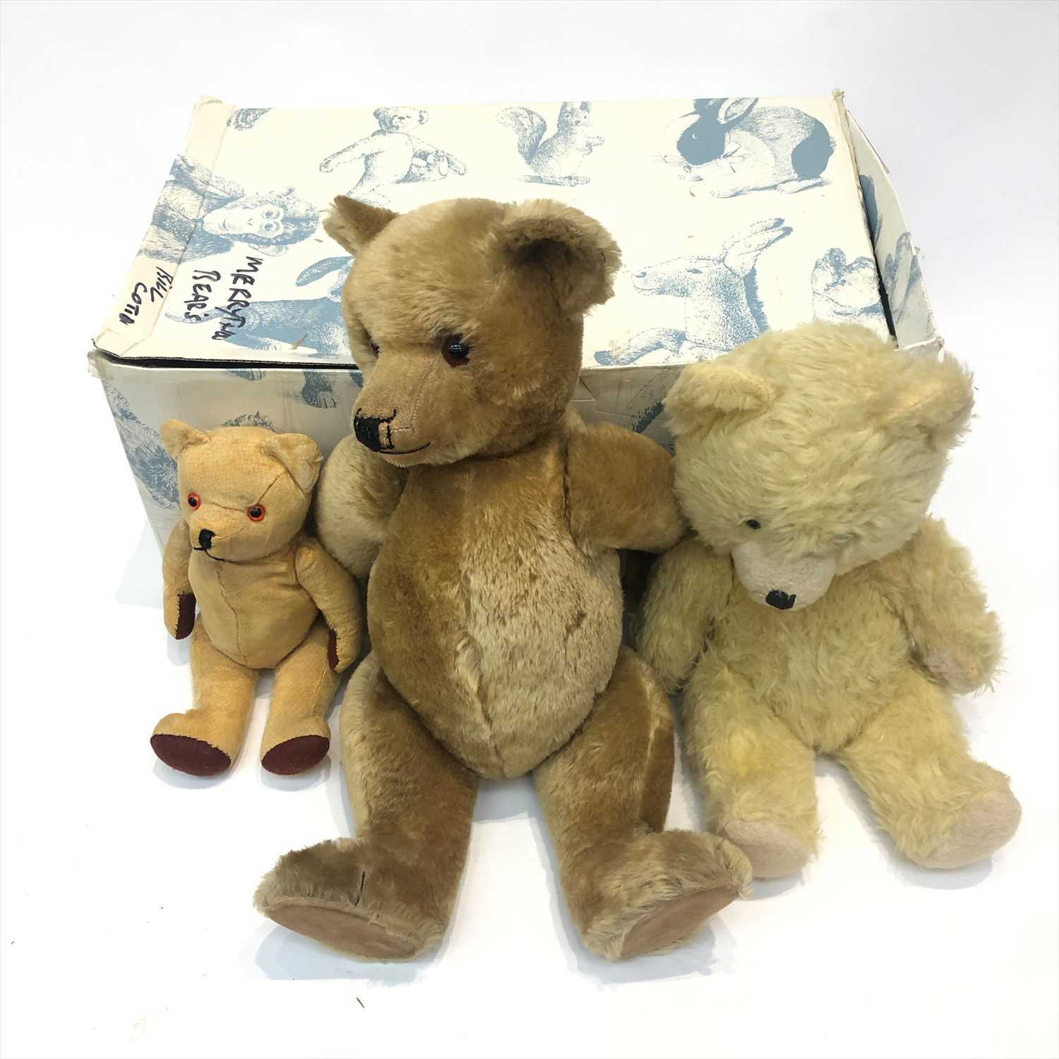 Lot 600 - Teddy Bear