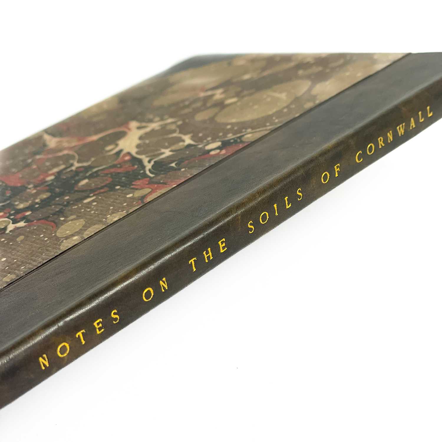 Lot 299 - John Ayrton Paris. 'Note on the Soils of