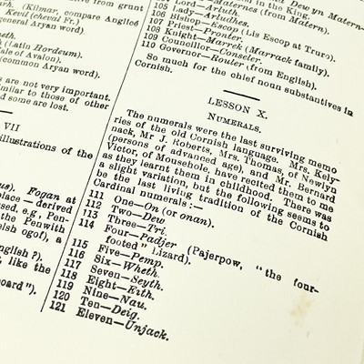 Lot 290 - Rev. W. Somerville Lach-Szyrma.